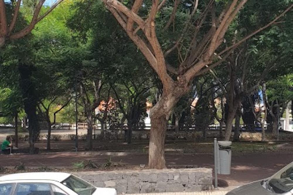 Centro INSS La Orotava Nº4