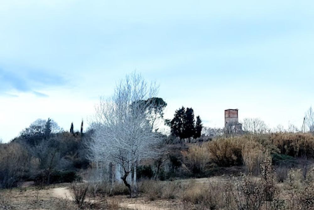 TGSS Cerdanyola del Vallès Nº25