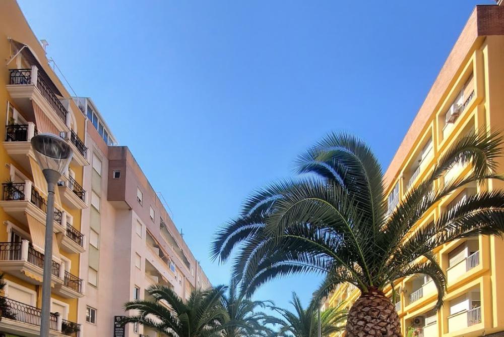 TGSS Denia Nº7